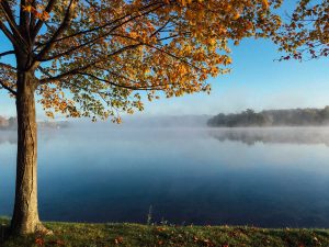 lake autumn